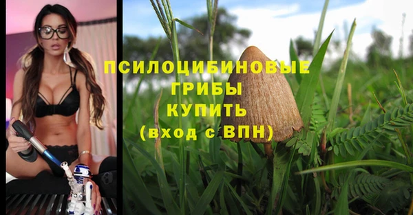 молекула духа Верхний Тагил